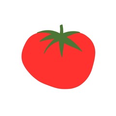 Tomato Illustration 