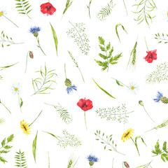 watercolor summer pattern wildflowers, plant, leaves. Meadowflowers