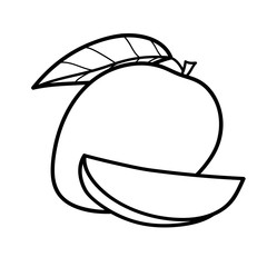 Linear drawing mango isolated on white background. Sketch for coloring booking page. Vector illustration