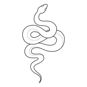 How to Draw a Snake  A Fun and Easy Snake Drawing