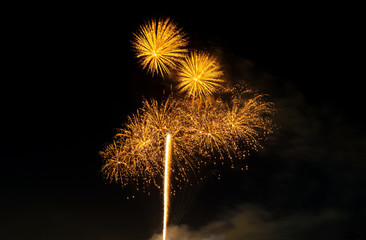 Fototapeta premium Fireworks in the Dark Sky Background