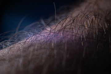 A man's hairy arm. Hair in the foreground. Macro photography