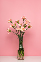 Vase with a beautiful pink carnation flower on white table