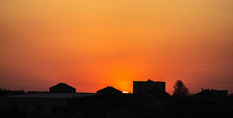Silhouettes of tree branches on a sunset background