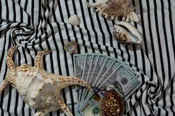 vacation planning. counting money for rest. summer vacation at sea. tropical vacation