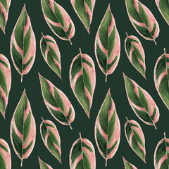 The pattern of tropical plants in watercolor