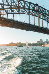 Sailboat under the sydney harbour bridge 