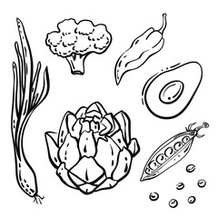 Spring onion, artichoke, broccoli, avocado, pepper. Black line sketch collection of healthy vegetables and herbs isolated on white background. Doodle hand drawn vegetable icons. Vector illustration