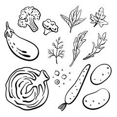 Cabbage, eggplant, broccoli, carrot, potatoes, herbs. Black line sketch collection of healthy vegetables and herbs isolated on white background. Doodle hand drawn vegetable icons. Vector illustration