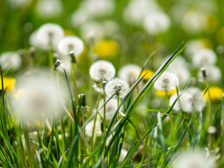 Celle 28.04.2020
