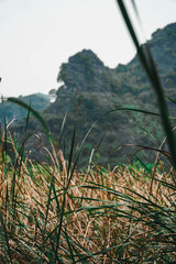 landscape in the mountains