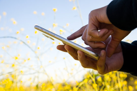 woman's hands holding and using cell phone outdoors in flower field