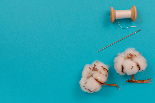 Cotton flowers, spool of thread and needle. Accessories for sewing. Top view with copy space, flat lay.