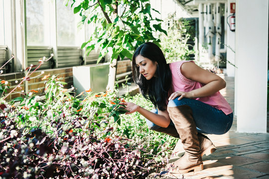 beautiful agronomical engineer observing the plants in the greenhouse