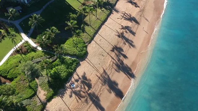 North Kaanapali beach with tall shadows of coconut trees and clear blue water