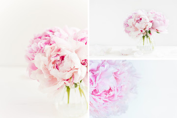 Beautiful summer collage made from photos with peonies. Fresh bunch of pink peonies on light background. Card Concept, copy space for text
