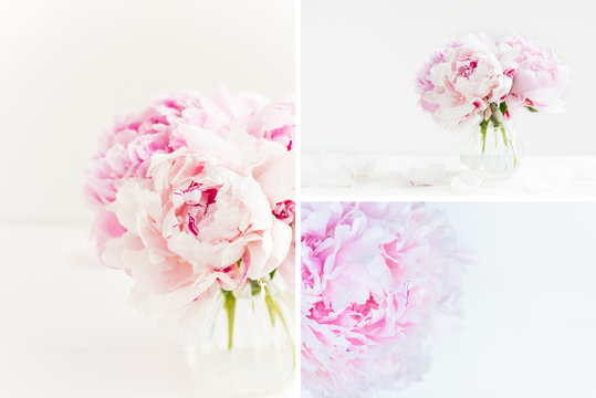 Beautiful summer collage made from photos with peonies. Fresh bunch of pink peonies on light background. Card Concept, copy space for text