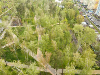 Walkways in the park among the trees on a spring day. Aerial drone view.