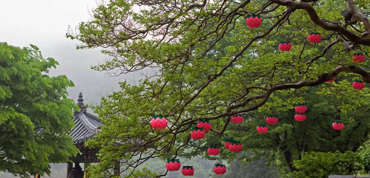 Lanterns at a Buddhist Temple