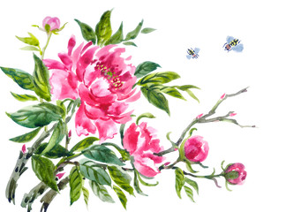 Peony and bees, watercolor in chinese, japanese, korean style, illustration on white background, isolated.