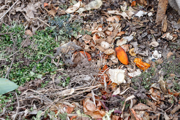 Fresh compost pile, with garden material. Recycled Food. Fertilizer.