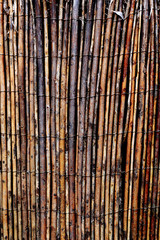 background of bamboo