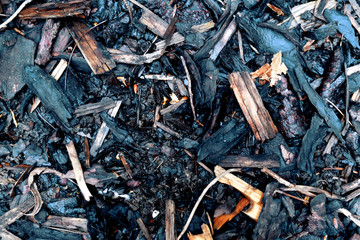 burnt matches on the ground