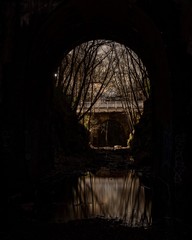 Abandon Train Tunnel With Reflection in a Puddle