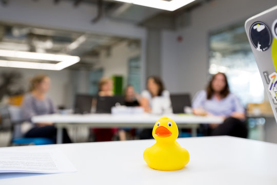 Rubber duck during computer classes