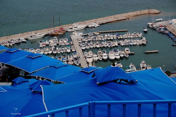 aerial view of the port