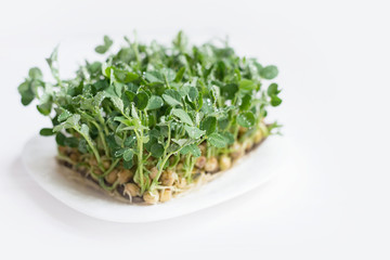 microgreen Foliage Background. pea leaf. sprout vegetables germinated from high quality organic plant seed on linen mat