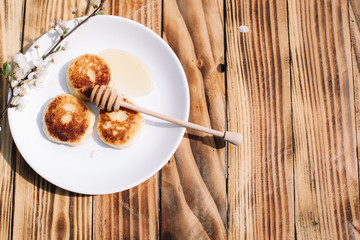 Delicious three cottage cheese pancakes with honey lying on the white plate with the branch of a flowering tree on the wooden table background with place for text. Curd cheese fritters.