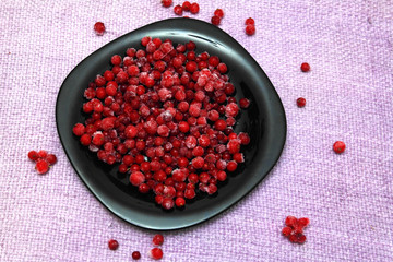 red berries in the ice, currant