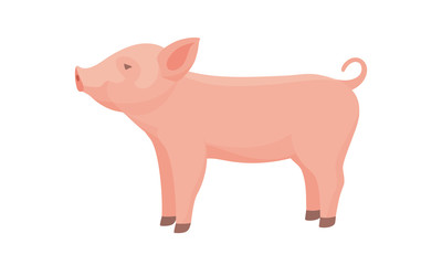 Fototapeta premium Farm Animal Pig. Funny Piggy. Little Piglet.