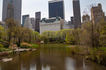 Fototapeta na wymiar Spring 2020-Coronovirus. Stay safe NY..Central Park, New York City.