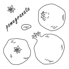 Black line pomegranate on white isolated backdrop. Granate for gift card, healthy food shop logo, bath tile, juice pack, color book. Phone case or cloth print. Drawn style stock vector illustration