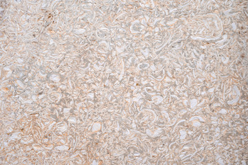 Coral stone porous texture with splashes of shell rock. Brickwork of a shell rock. Background structure. Block frame.