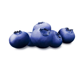 Isolated blueberries on a white background