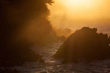 Golden sunlight shines on the dramatic coastline of Northern California in Sonoma County. This west coast region, just north of San Francisco, is full of wild, natural beauty.