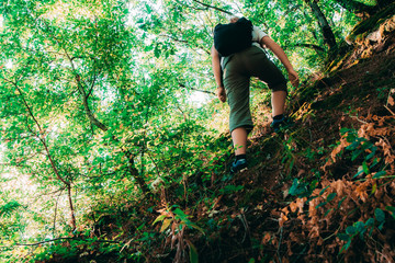 Naklejka na ściany i meble Young female backpacker climbs mountain among dense green forest in spring. Hiking and wild summer adventures. Hipster challenge, mountain climbing, free lifestyle