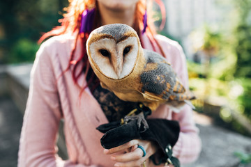 Pet owl sits on the hand of a beautiful girl with red hair