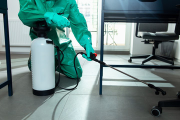 All the areas must be meticulously sanitized because of the pandemic