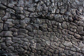 Burnt wood surface close-up. Abstract background of charred wood texture.