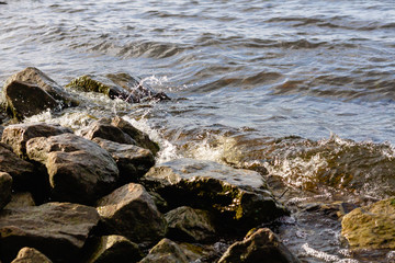 Fototapeta na wymiar Rocky riverbank. Waves rise against rocks.