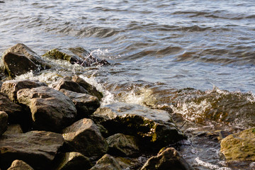 Rocky riverbank. Waves rise against rocks.