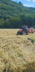 Fototapeta premium tractor in the field