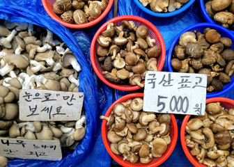 Fresh raw local mushrooms, farmers market in Seoul, South Korea