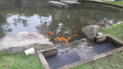 fountain in the park