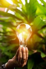 light bulb against nature, icons