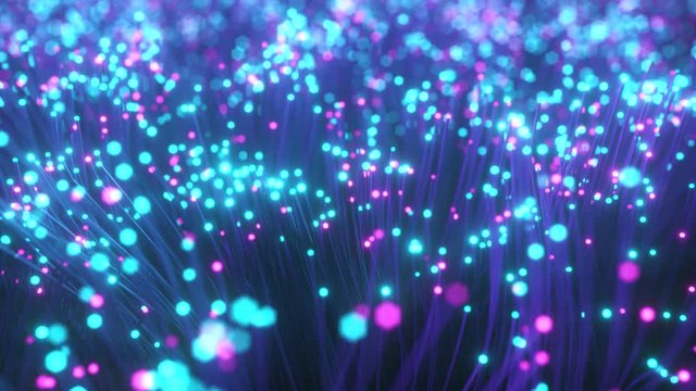 Fiber optic wires with flashing signals. Digital data transmission via fiber optic cable. Bouquet of colored optical fibers with bokeh. Technology concept. Seamless loop 3d render